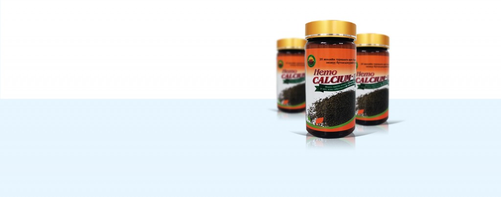 black friesian stallion gallop in sunset